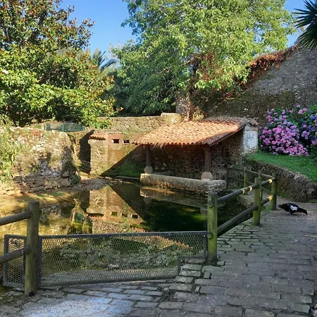 Laureles De Novales